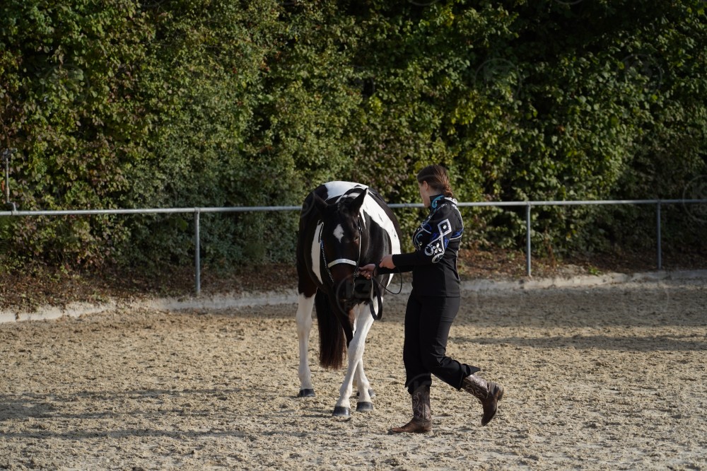 s_A7_00802.JPG